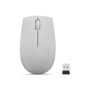 LENOVO 300 Wireless Compact Mouse (Arctic Grey) with battery Artic Grey